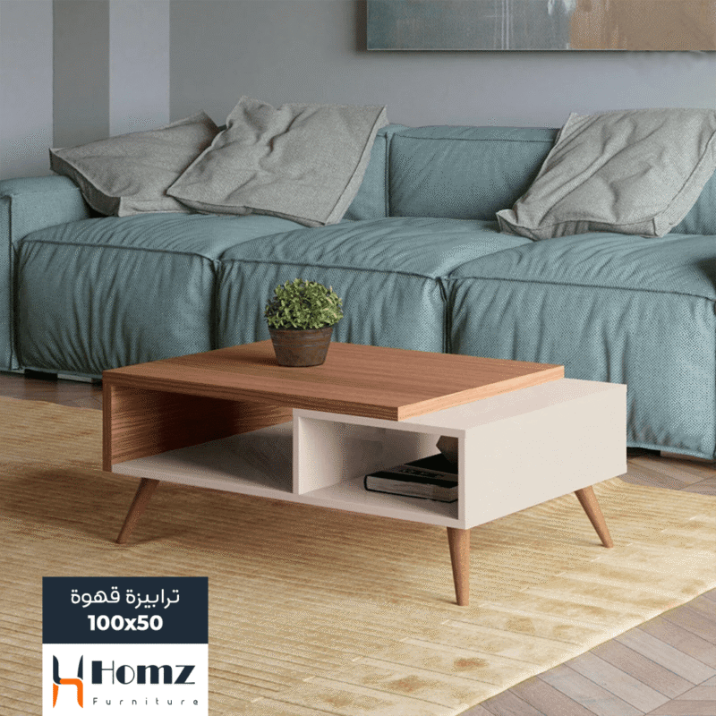 Coffee Table 100×50×40